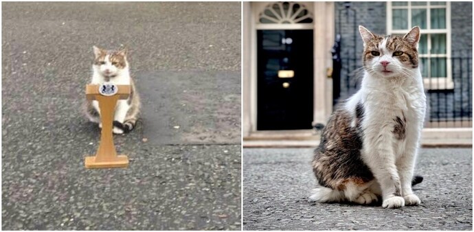 Larry the Cat, Britain's famous "Chief Mouser to the Cabinet Office" Larry the Cat, Britain's famous "Chief Mouser to the Cabinet Office"