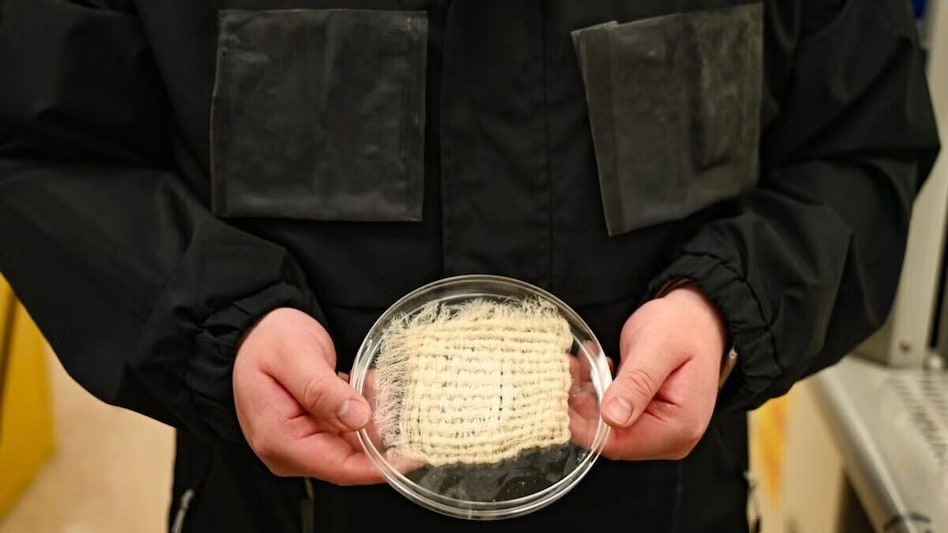 The jacket is made from specially engineered biomass-derived hydrogel fibres that absorb moisture from the air The jacket is made from specially engineered biomass-derived hydrogel fibres that absorb moisture from the air