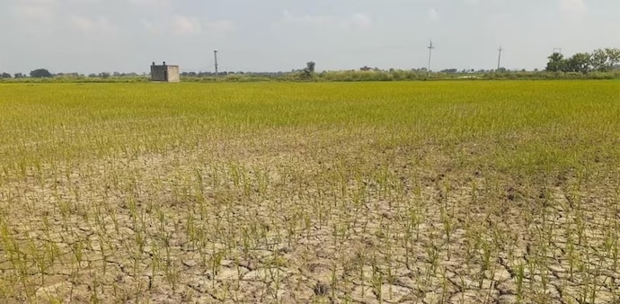 Data from the IMD indicates that the aggregate rainfall deficit across India for the early phase of the season has hovered around a staggering 46% threshold. Data from the IMD indicates that the aggregate rainfall deficit across India for the early phase of the season has hovered around a staggering 46% threshold.