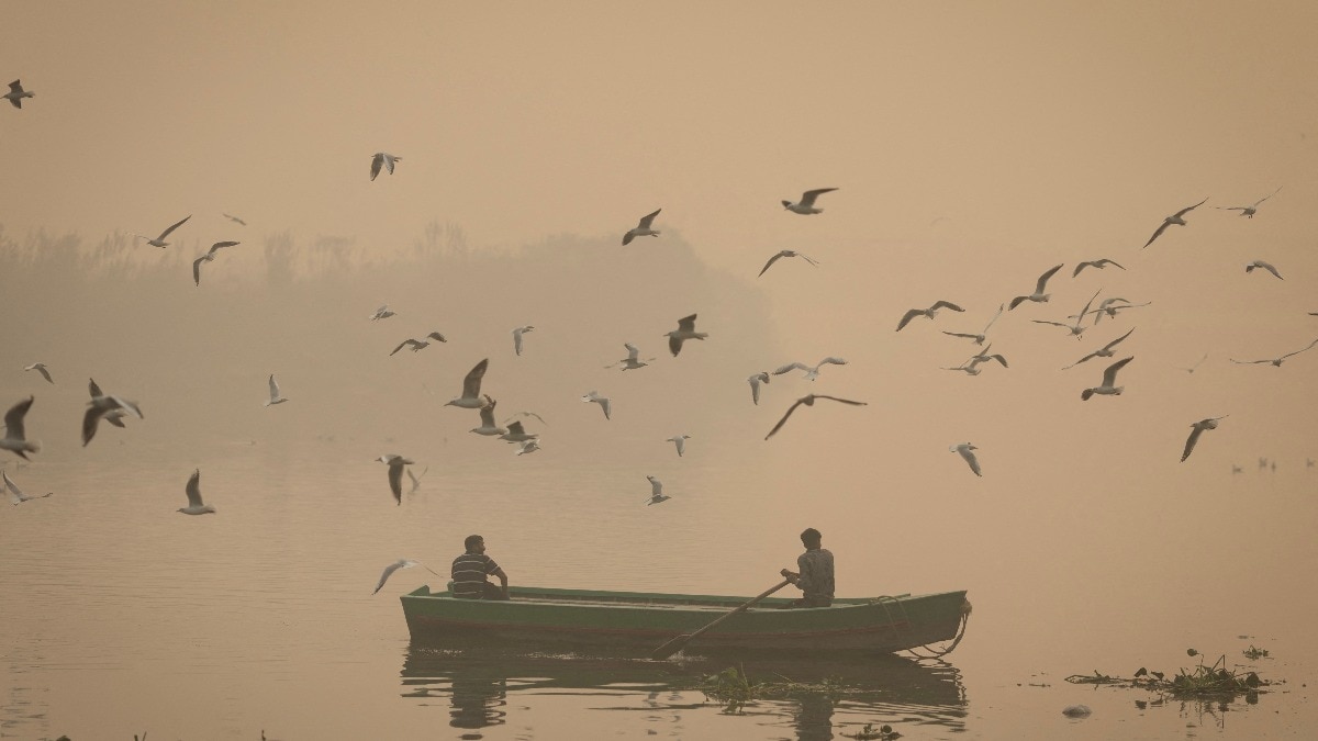 Think heatwaves are bad? Scientists say they're now making the air more toxic too