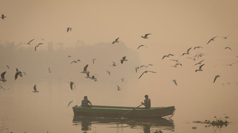 The researchers said they were surprised by the strength of the natural chemical reactions during heatwaves. The researchers said they were surprised by the strength of the natural chemical reactions during heatwaves.