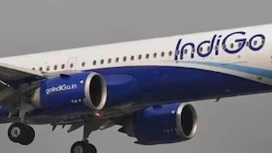 IndiGo Airline IndiGo Airline