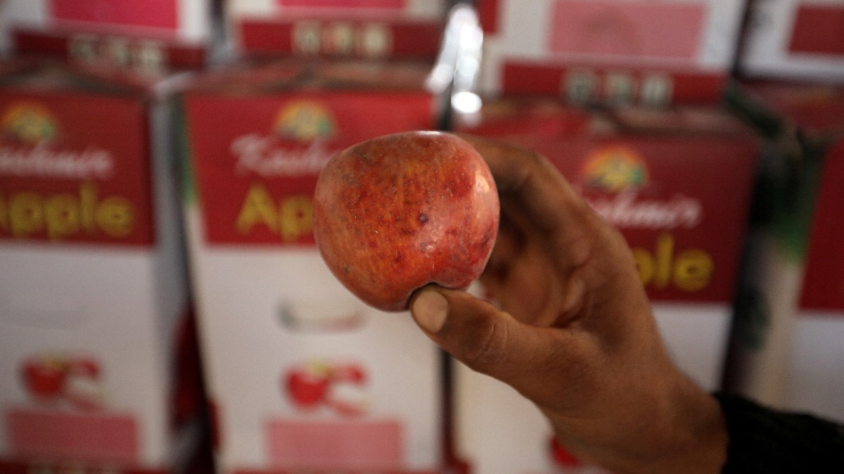 The Indian apple economy is staring at a crisis due to the unexpected weather patterns