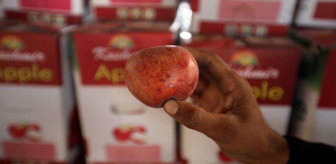 The Indian apple economy is staring at a crisis due to the unexpected weather patterns The Indian apple economy is staring at a crisis due to the unexpected weather patterns