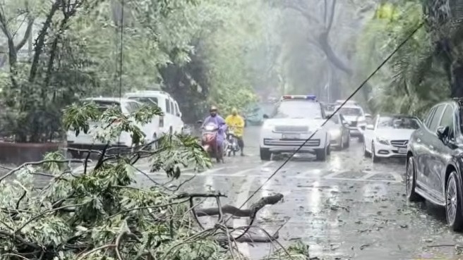 Tree falls in front of Mukesh Ambani’s security convoy amid heavy Mumbai rain