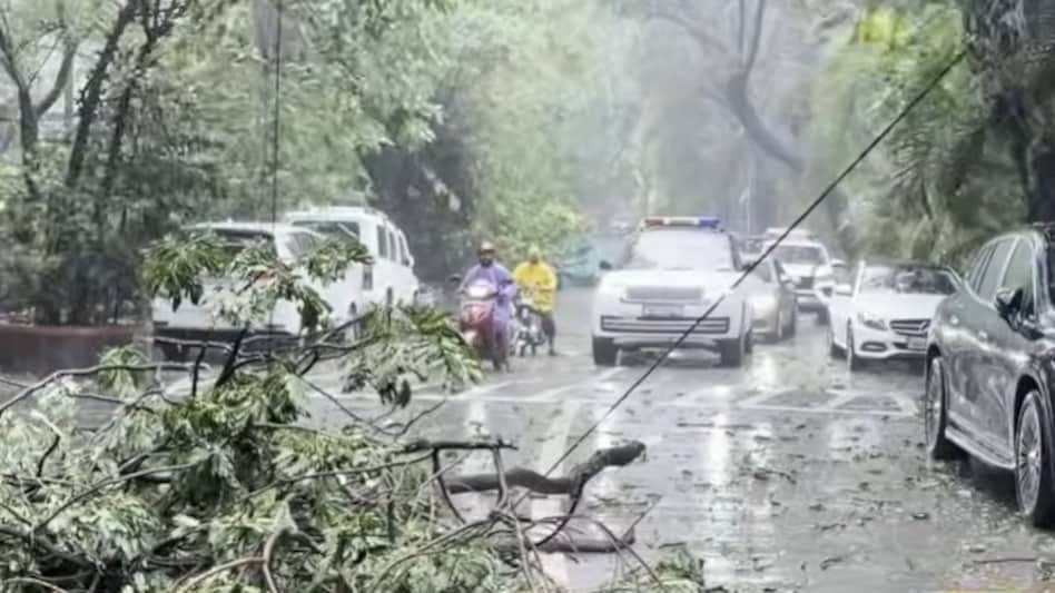 An official with the Mumbai police said the tree fell across the road just ahead of the convoy, temporarily halting vehicular movement. An official with the Mumbai police said the tree fell across the road just ahead of the convoy, temporarily halting vehicular movement.