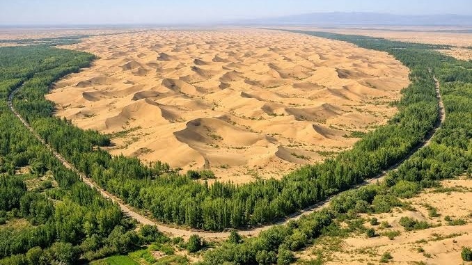66 billion trees: China's great green wall offers climate hope — but not a complete solution