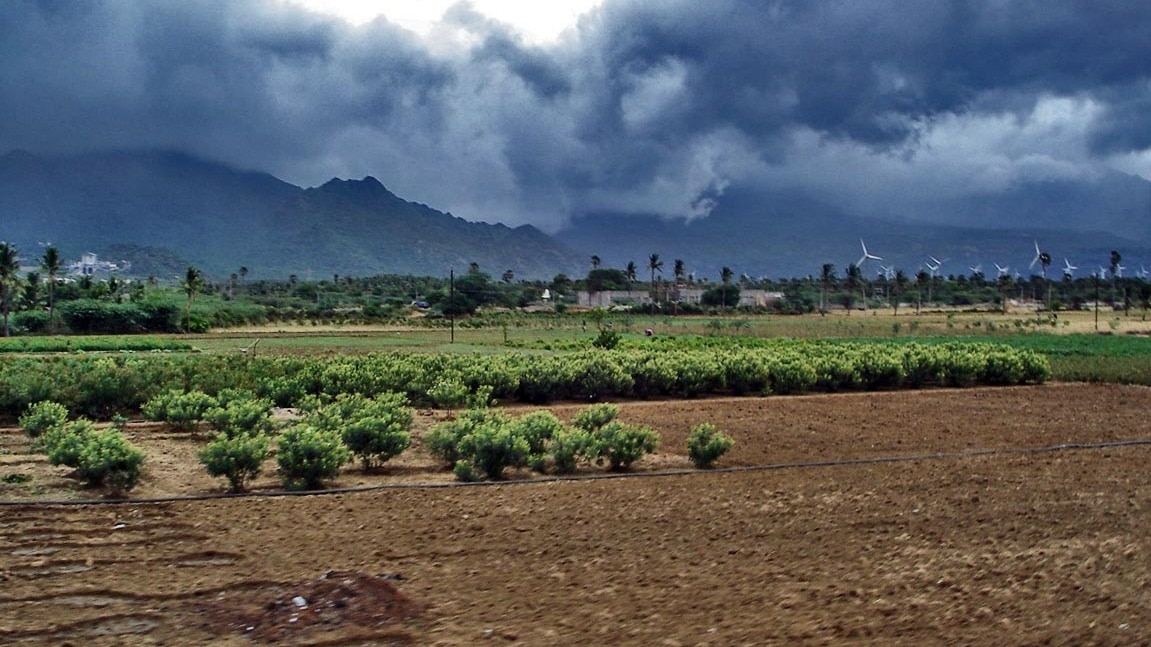 Monsoon stages remarkable turnaround, brings 42% excess rain in just one week 