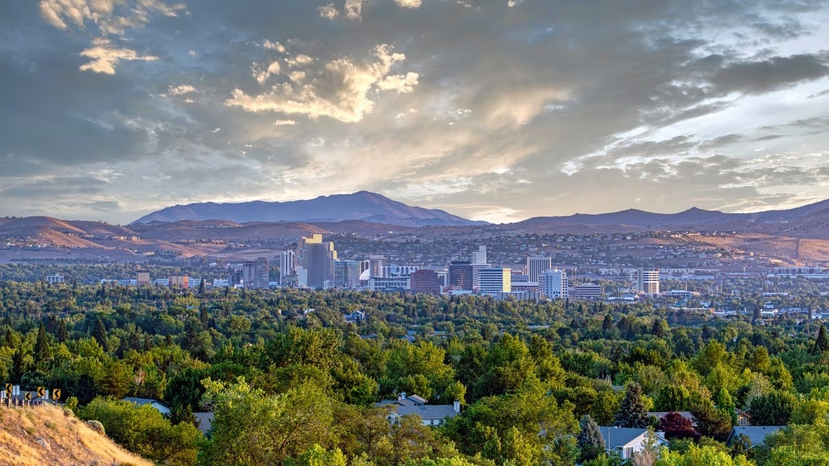 The study projects that as the climate warms, forests and woodlands in parts of the western US could gradually give way to shrublands, grasslands and deserts. 