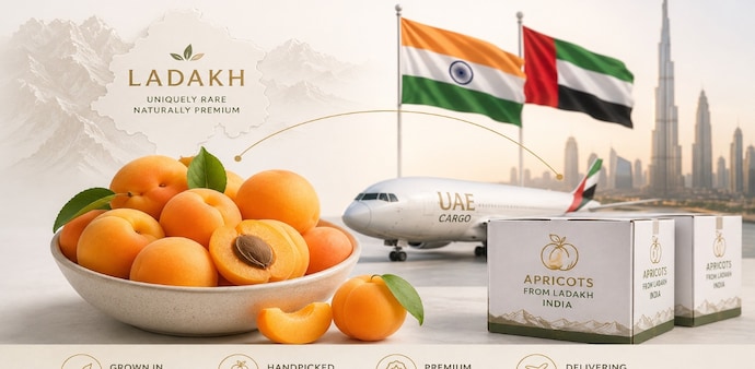 Ladakh's premium apricots are headed to the UAE Ladakh's premium apricots are headed to the UAE