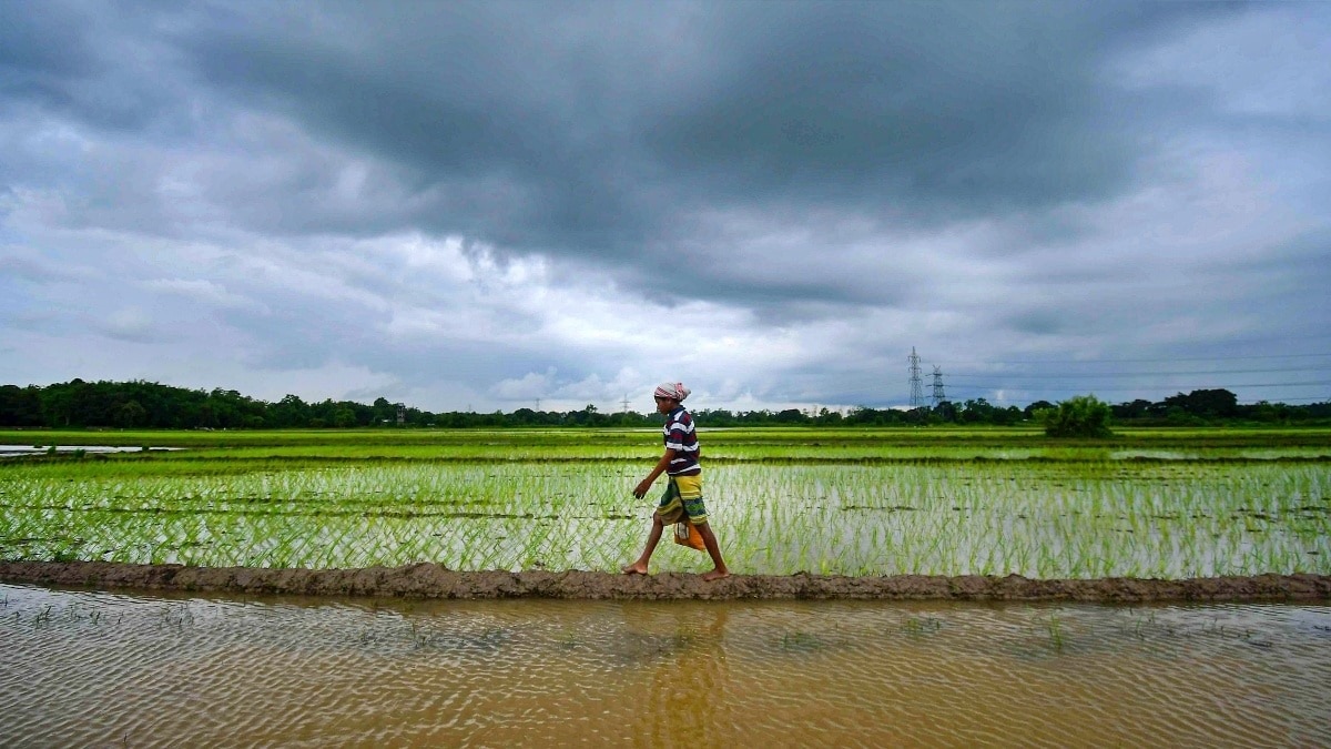 he irregular distribution of rainfall has caused delays in sowing in various areas during the initial weeks of the kharif season.