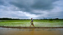 Kharif sowing gains pace despite weak monsoon, recovery uneven across crops he irregular distribution of rainfall has caused delays in sowing in various areas during the initial weeks of the kharif season.