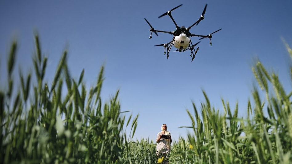 How improving profitability is reviving investor interest in agritech How improving profitability is reviving investor interest in agritech