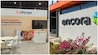 Coforge Q1: Elara Securities pegged Coforge's Q1 net profit at Rs 505 crore, up 89.60 per cent YoY. Net sales are estimated at Rs 4,597 crore, up 24.6 per cent YoY. Coforge Q1: Elara Securities pegged Coforge's Q1 net profit at Rs 505 crore, up 89.60 per cent YoY. Net sales are estimated at Rs 4,597 crore, up 24.6 per cent YoY.