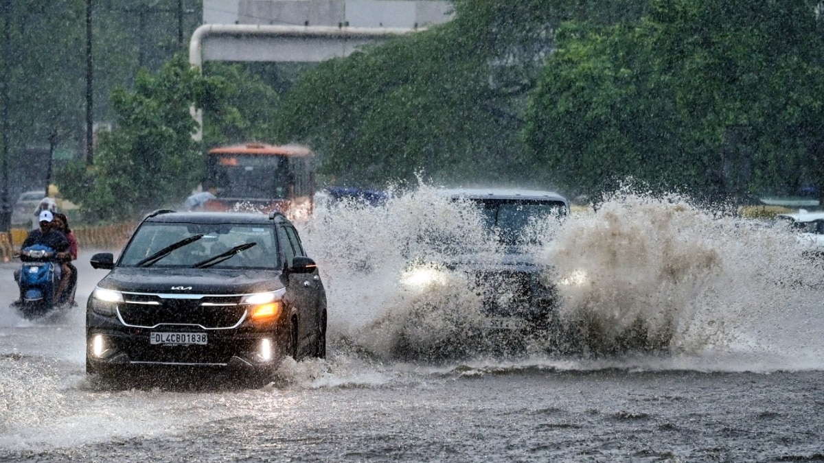 Besides rainfall, the IMD has forecast thunderstorms accompanied by lightning and gusty winds reaching 30-50 kmph over several parts of the country, including northwest, central and peninsular India, during August 2-8.