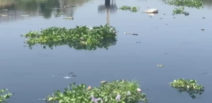 Mithi river Mithi river