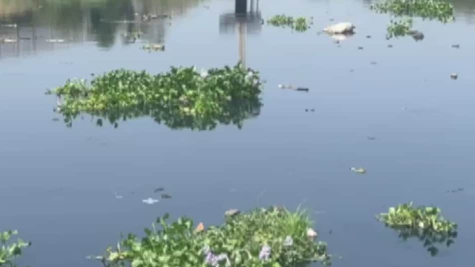 Mithi river Mithi river