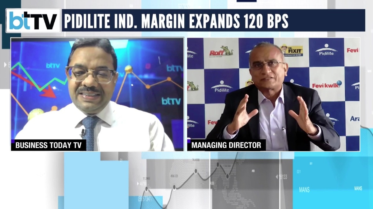 Pidilite Industries Q1: MD Sudhanshu Vats decodes stellar earnings show 