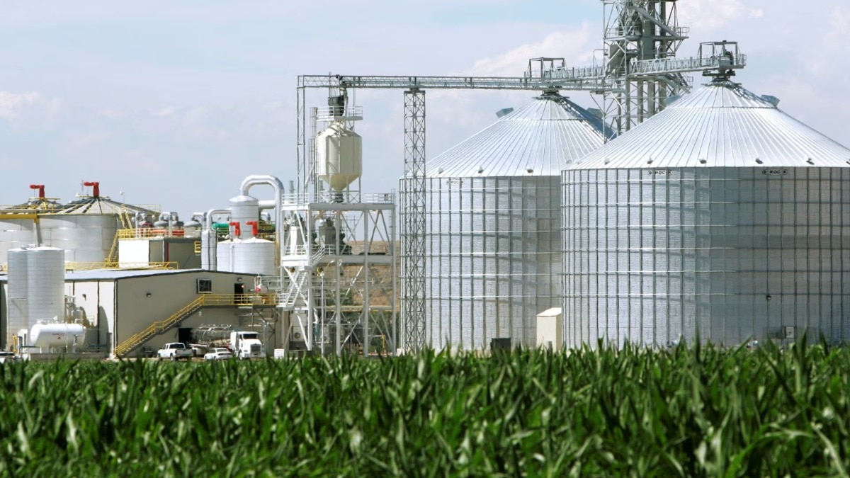 India rejects reports of importing US ethanol for petrol blending