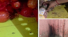 Expired food products, cockroaches, rusty racks: Licence of Blinkit store suspended in Mumbai after inspection Blinkit store's licence suspended by Maharashtra FDA