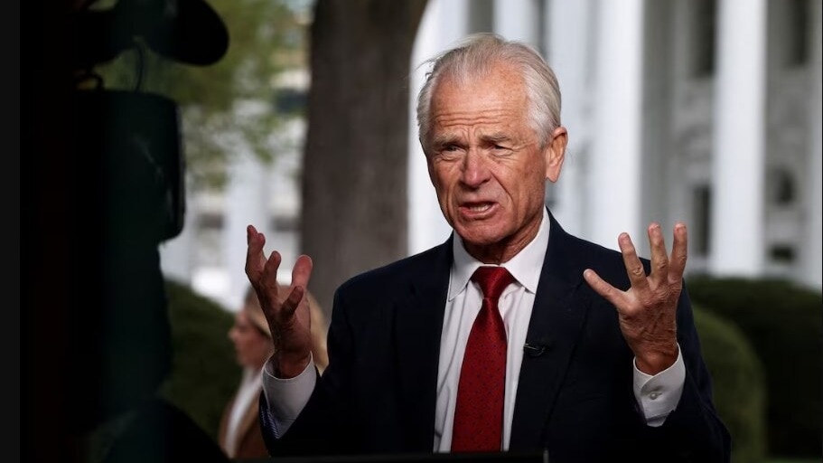 Peter Navarro says he was firebombed by Indians online