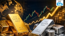 Gold gave 9.9% annualised spot return over 20 years: How it compared with other commodities Between June 2006 and June 2026, gold delivered a 9.9% annualised spot return and 8.9% through futures.