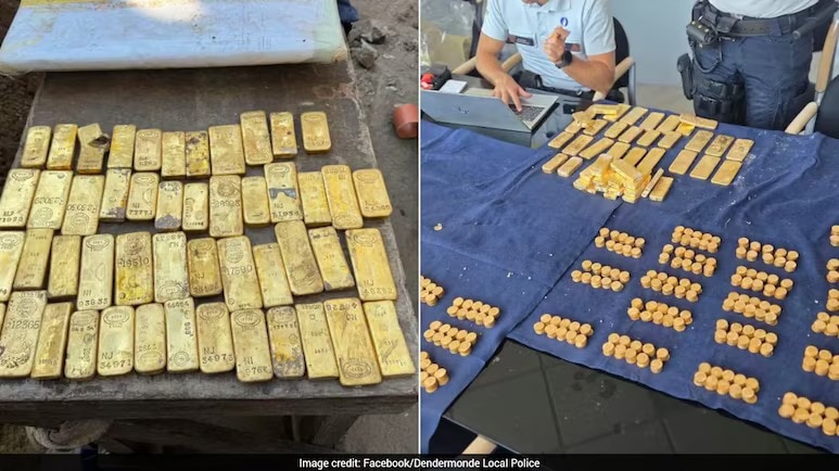 ₹98 crore fortune: How an 18-year-old worker in Belgium hit an underground gold jackpot
