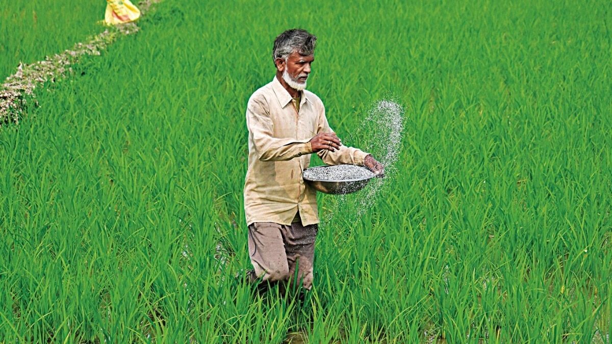 The government is now trying to reduce excessive fertilizer use.
