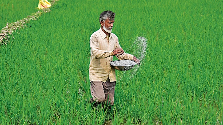 The government is now trying to reduce excessive fertilizer use. The government is now trying to reduce excessive fertilizer use.