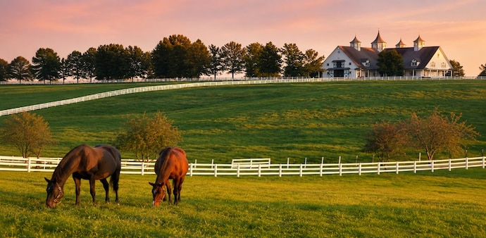 The history of Castleton Farm stretches back to 1793, when future US Senator John Breckinridge purchased land outside Lexington.(Picture credit: Trip savvy) The history of Castleton Farm stretches back to 1793, when future US Senator John Breckinridge purchased land outside Lexington.(Picture credit: Trip savvy)