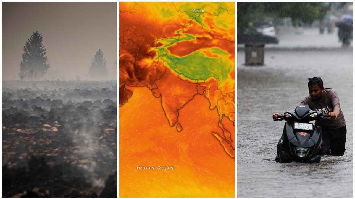 The important point is that El Niño does not produce one uniform global outcome. It rearranges the climate system, creating winners and losers depending on location.
