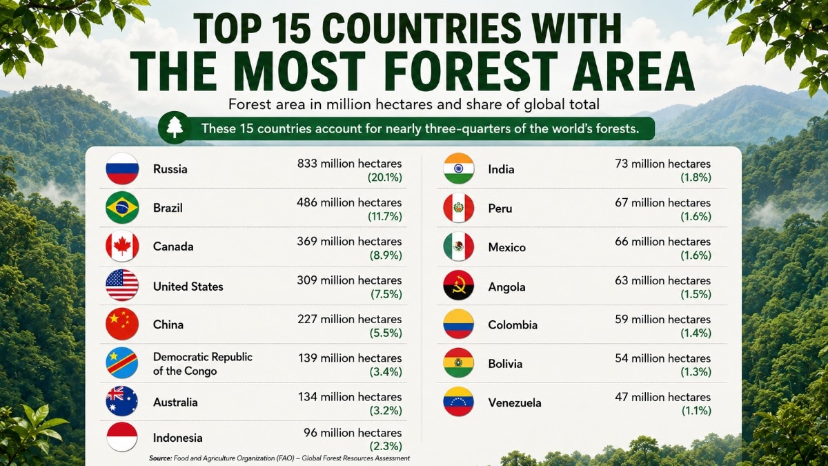 Ranked: The 15 Countries With the Most Forest