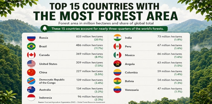 Ranked: The 15 Countries With the Most Forest Ranked: The 15 Countries With the Most Forest