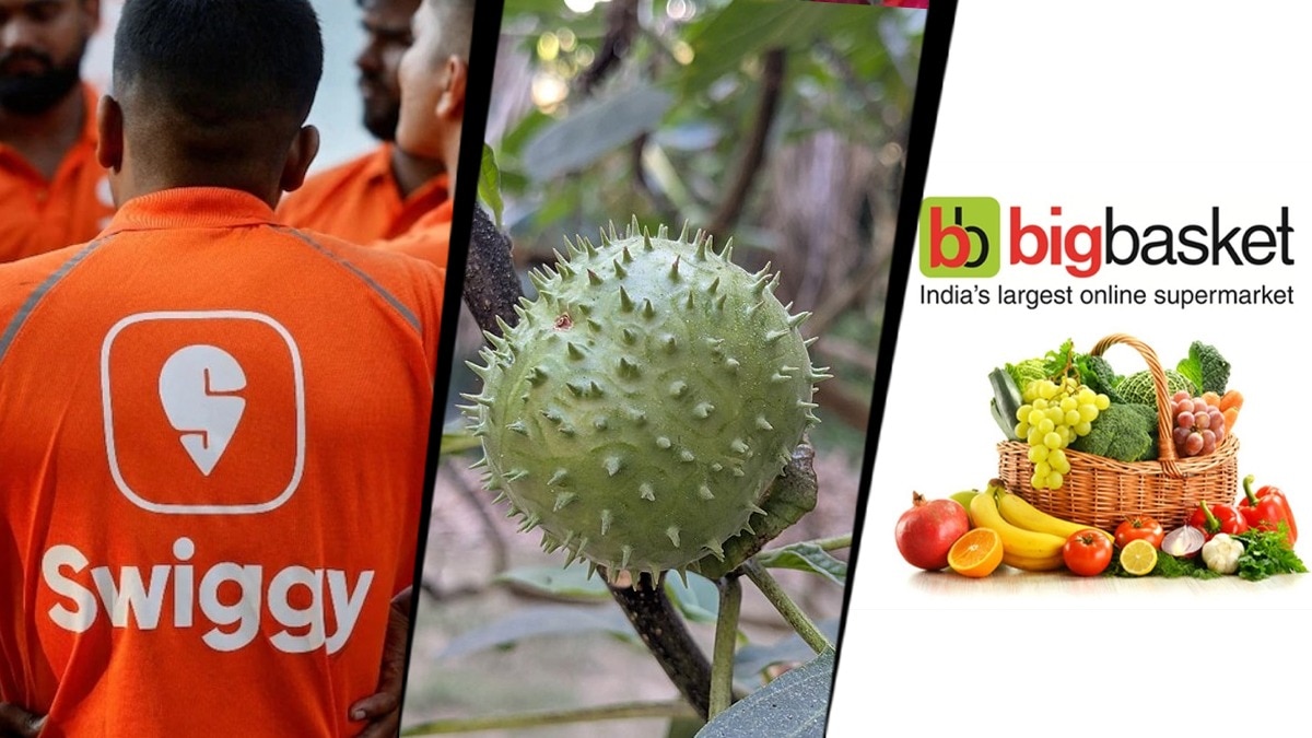 amazon swiggy instamart bigbasket datura sales karnataka food licence suspend