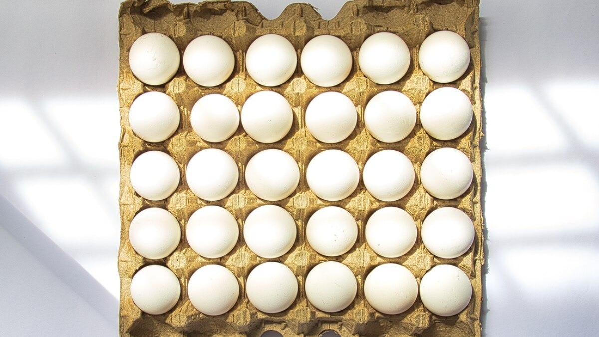 Egg price shoots up by up to 40%