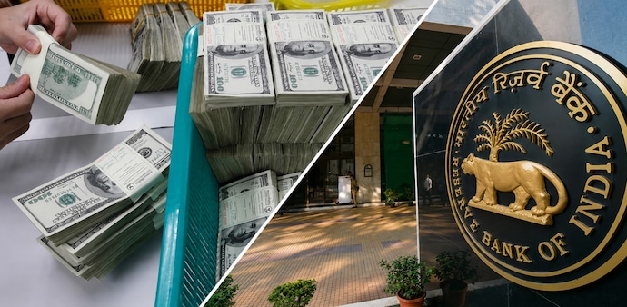 FCNR(B) deposits: ISB professor flags risks from $136 billion foreign borrowing FCNR(B) deposits: ISB professor flags risks from $136 billion foreign borrowing