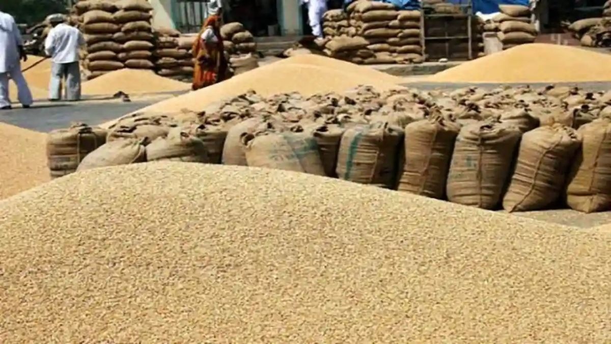 Rs 60 lakh wheat missing from procurement centres in UP