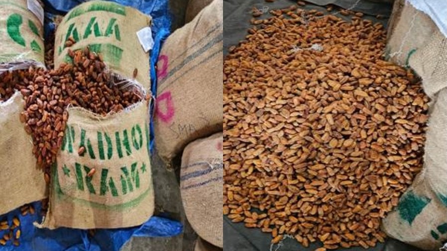 Pakistan-origin dry dates enter India via UAE despite ban; DRI seizes 362 tonnes