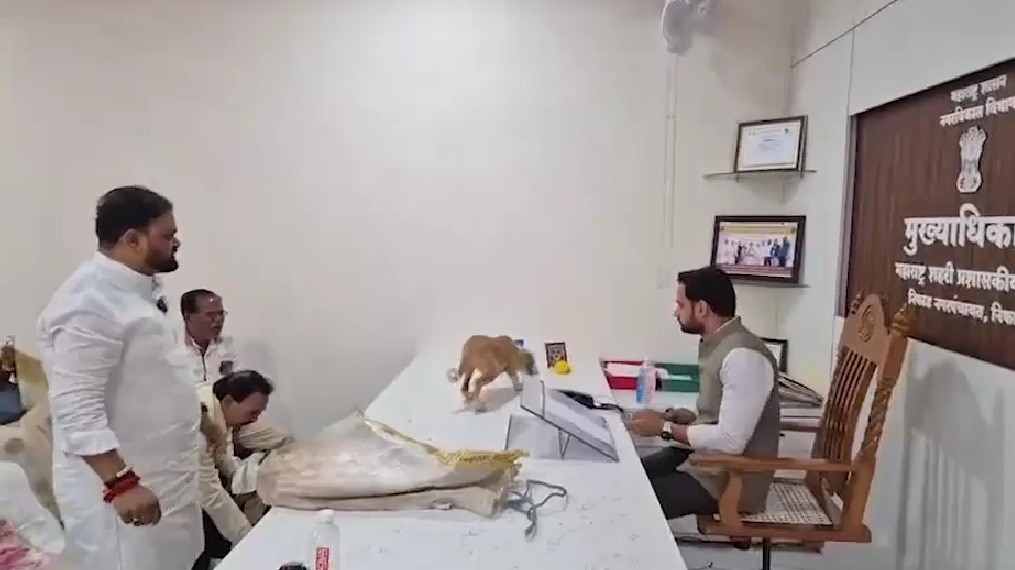 Nashik activists release stray dogs on official’s table after complaints go unheard