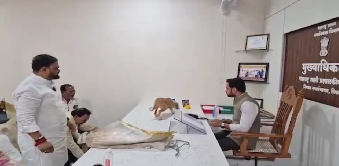 Nashik activists release stray dogs on official’s table after complaints go unheard Nashik activists release stray dogs on official’s table after complaints go unheard