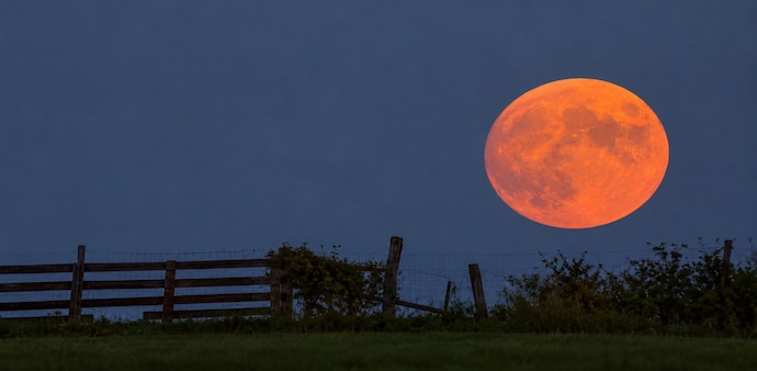 The Moon can take on a yellow, orange or reddish appearance when it is rising. (Picture credit : Britannica) The Moon can take on a yellow, orange or reddish appearance when it is rising. (Picture credit : Britannica)