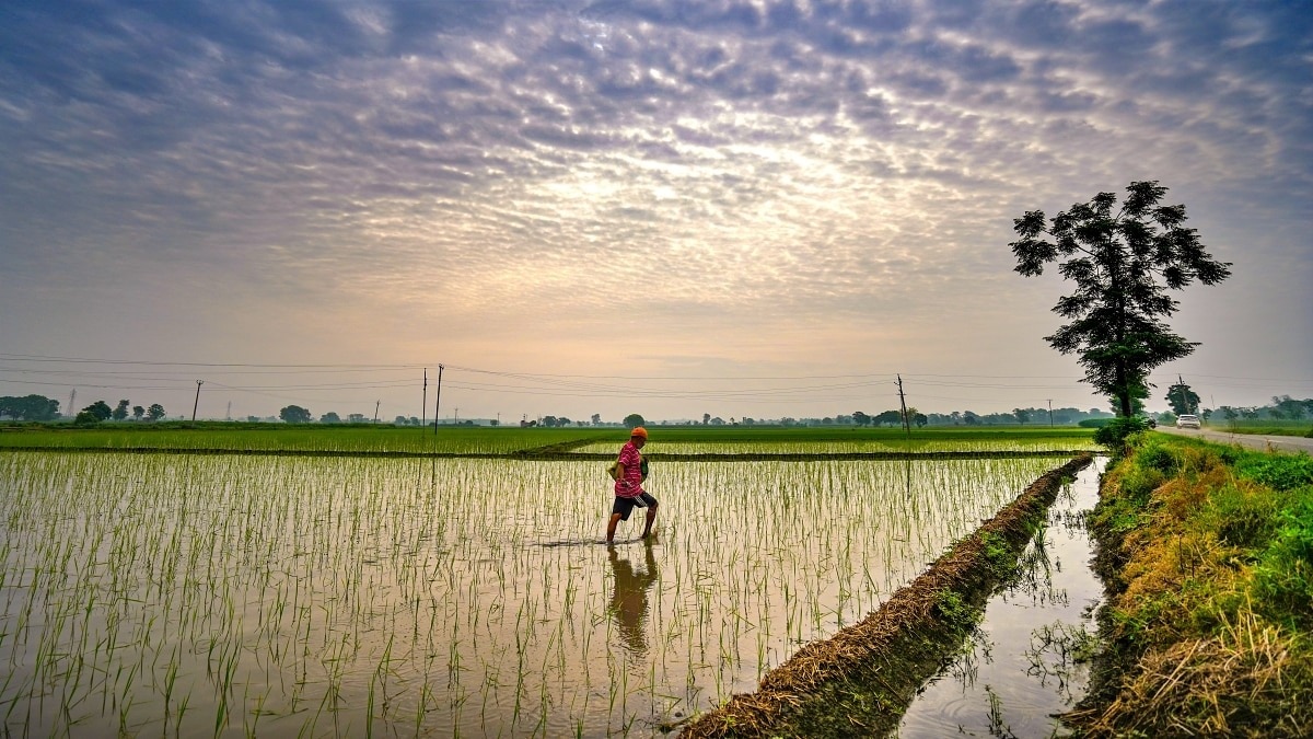 The four-month southwest monsoon season ended with a cumulative rainfall deficit of nearly 13% against the long-period average, making it the driest monsoon period in a decade.