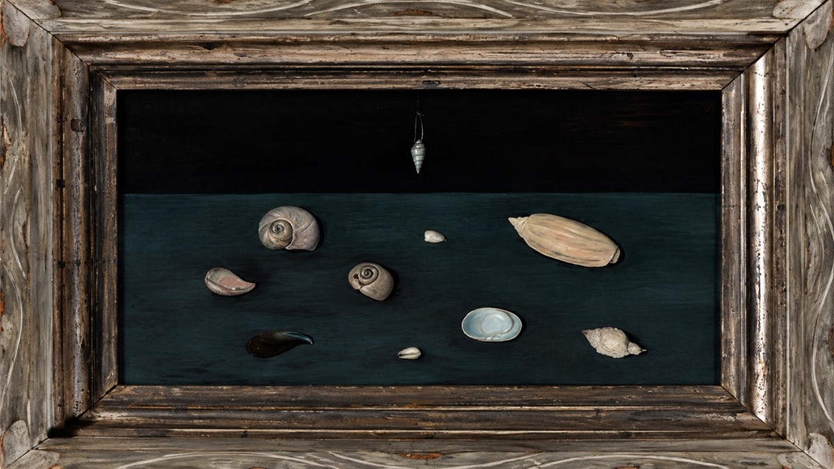Painted in 1951, “Alderman Merriam’s Shells” shows ten seashells, a recurring subject in Abercrombie’s work. (Picture credit : Freemansauction)