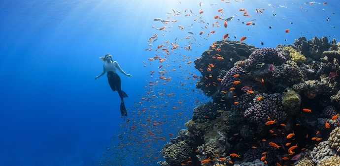 The oceans absorb most of the excess heat trapped by greenhouse gases, making sea surface temperatures an important indicator of the changing climate. The oceans absorb most of the excess heat trapped by greenhouse gases, making sea surface temperatures an important indicator of the changing climate.