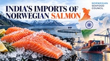 India-EFTA FTA: Frozen salmon fillets gain ground in India's seafood market Salmon exports to India rose to 355 tonnes, valued at around $2.7 million, during the eight months