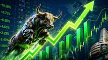 10 IT stocks add Rs 2,75,000 crore in m-cap in best week in 18 years; here's why Investors are now more open to non-AI stories, while India offers diversification, HSBC said on Friday.