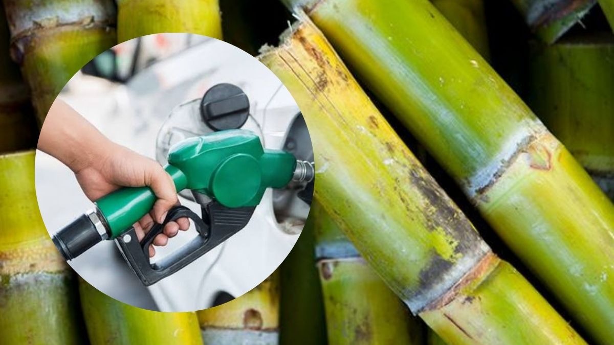 The decision to set sugar diversion for ethanol production to zero for the 2026-27 supply year stems from several critical domestic economic and agricultural factors.
