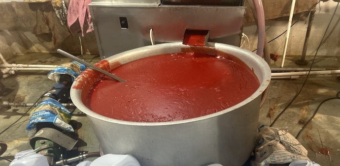 Ahmedabad tomato Ahmedabad tomato