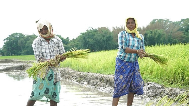 Swedfund's investment is expected to help climate-focused businesses expand their operations