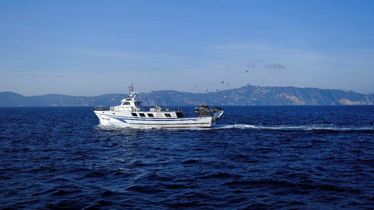 The reported yacht incident comes as attacks on Saudi Arabia's critical infrastructure have affected Indian nationals. (Image for representation: Reuters)